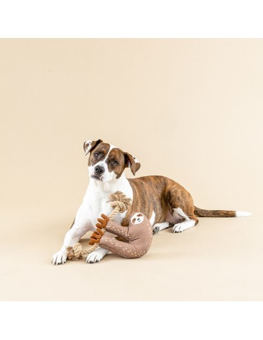 EAT SLEEP RPEAT 3D ERTH FRND DOGTOY