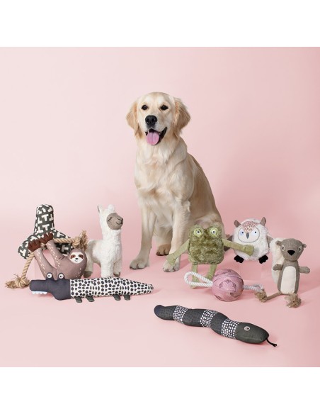 I JUMP AROUND 3D EARTH FRND DOGTOY