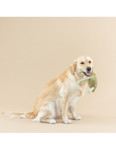 I JUMP AROUND 3D EARTH FRND DOGTOY
