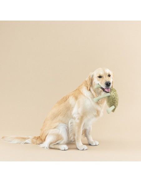 I JUMP AROUND 3D EARTH FRND DOGTOY