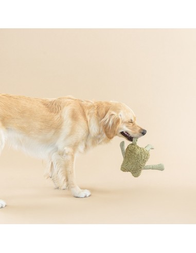 I JUMP AROUND 3D EARTH FRND DOGTOY