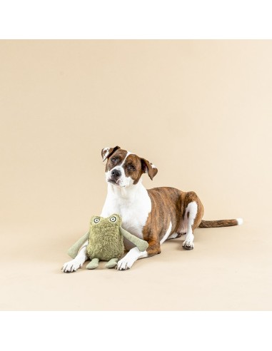 I JUMP AROUND 3D EARTH FRND DOGTOY