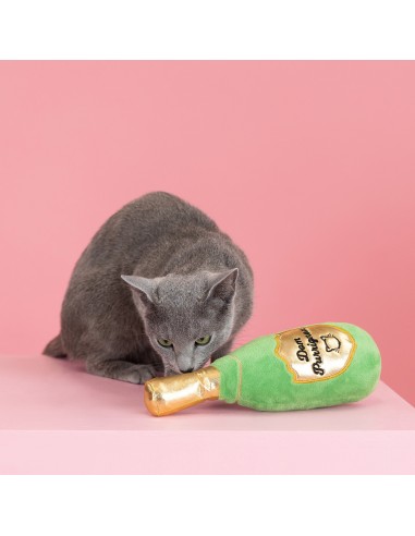 Dom purrignon | Cat