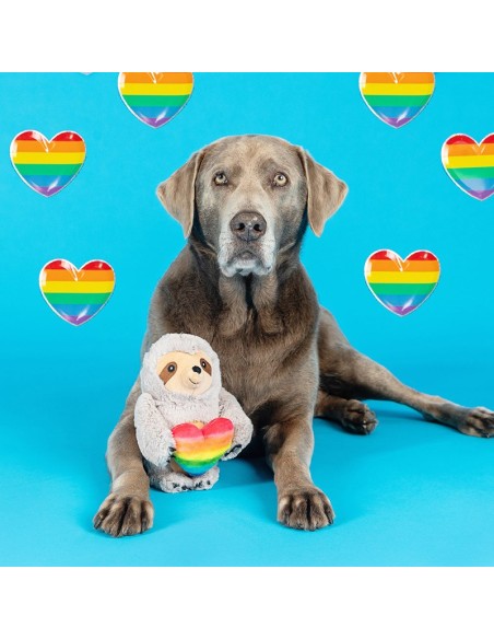 Follow your rainbow