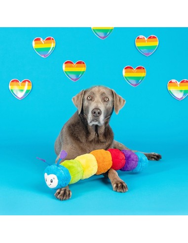 Don't Bug Me Dog Toy - pack of 4