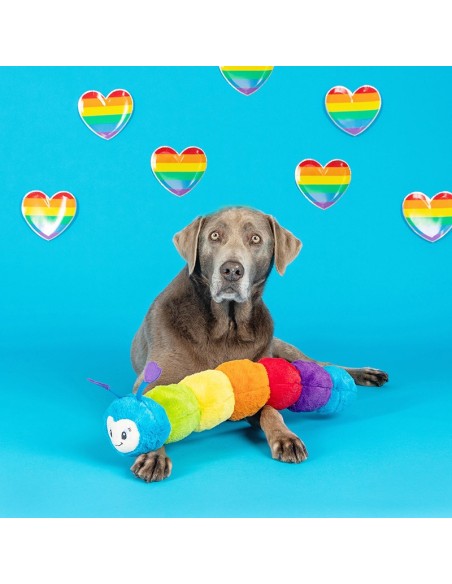 Don't Bug Me Dog Toy - pack of 4
