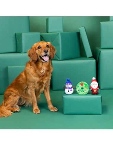 We Have Great Chemis-Tree 3Pcs Dog Toy Set