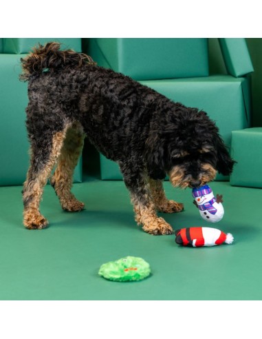 We Have Great Chemis-Tree 3Pcs Dog Toy Set
