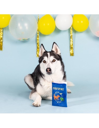 Pawsport