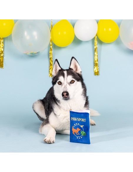 Pawsport