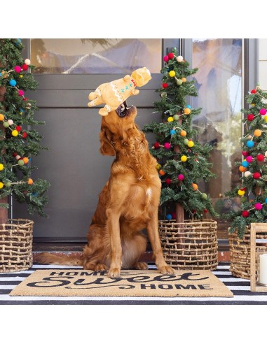 Cookie-Saurus Plush Dog Toy