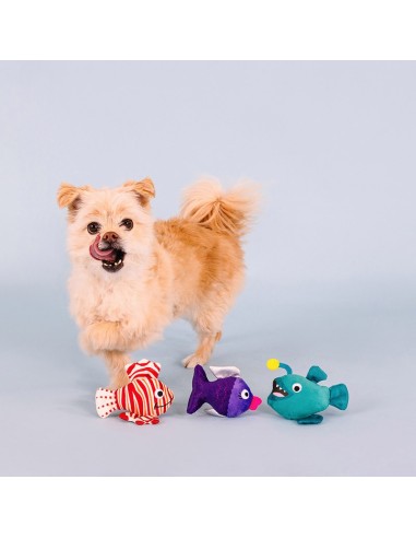 Any Fin Is Possible Mini Dog Toys - pack of 4
