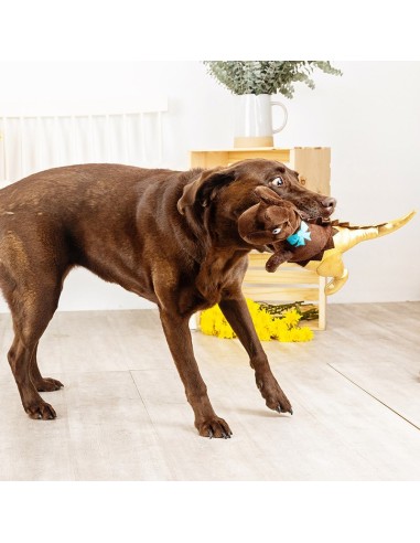 Choc-a-saurus rex