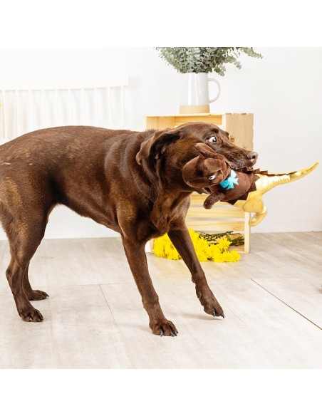 Choc-a-saurus rex