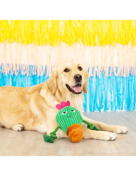 You grow chica! | Touw