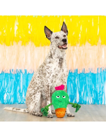 You grow chica! | Touw