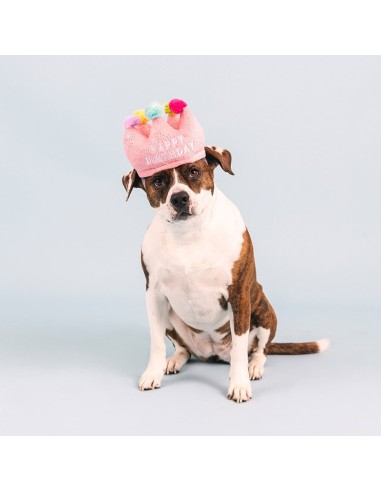If the crown fits