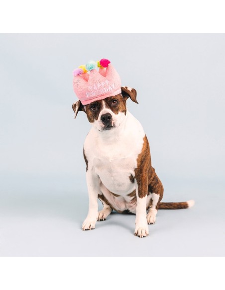 If the crown fits