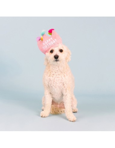 If the crown fits