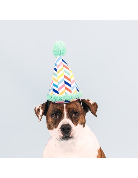Cheers for a barkday