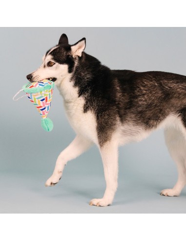 Cheers for a barkday