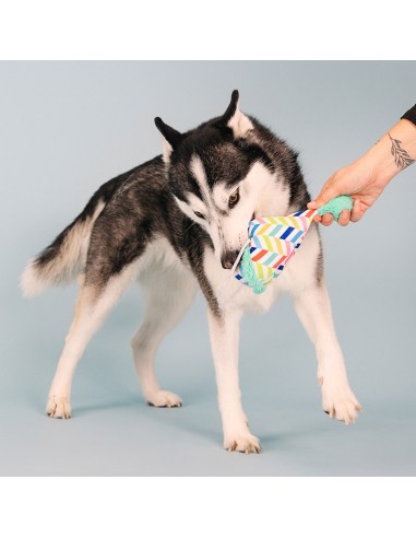 Cheers for a barkday