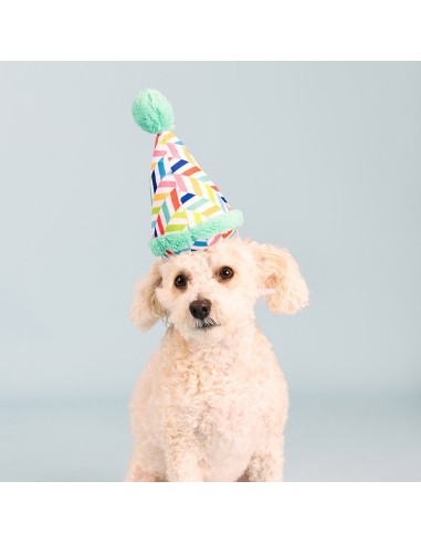 Cheers for a barkday