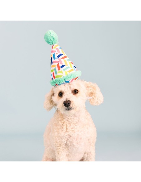 Cheers for a barkday