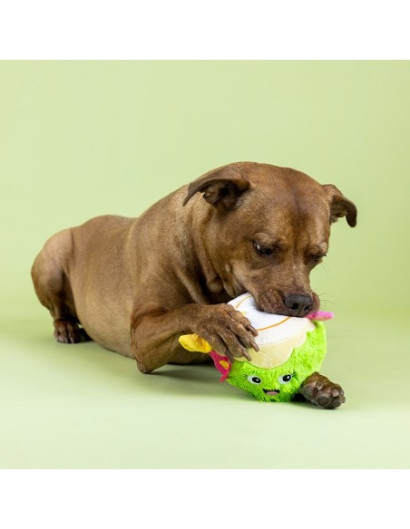Coc-Nuts About You Plush Dog Toy