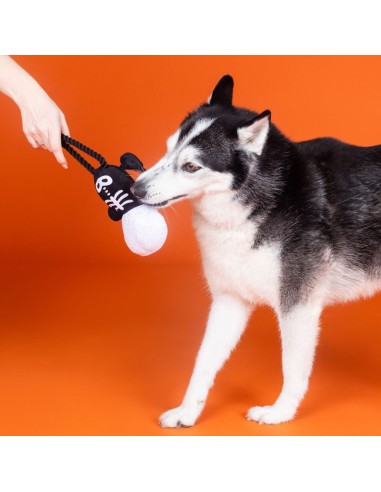 Fringe Got A Bone To Pick | Touw