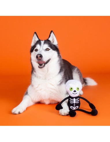 Fringe Got A Bone To Pick | Touw