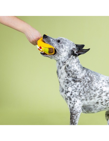 Whatchu Taco 'Bout Latex Dog Toy - pack of 4
