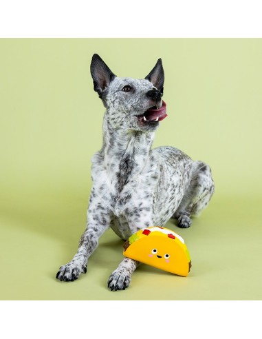Whatchu Taco 'Bout Latex Dog Toy - pack of 4