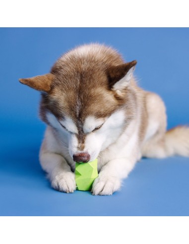 You're Adora-Ball Lime Rubber Dog Toy - pack of 4