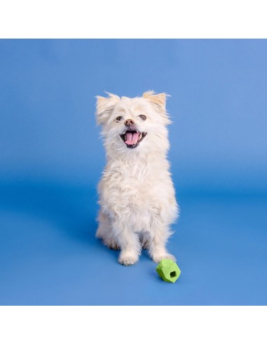 You're Adora-Ball Lime Rubber Dog Toy - pack of 4
