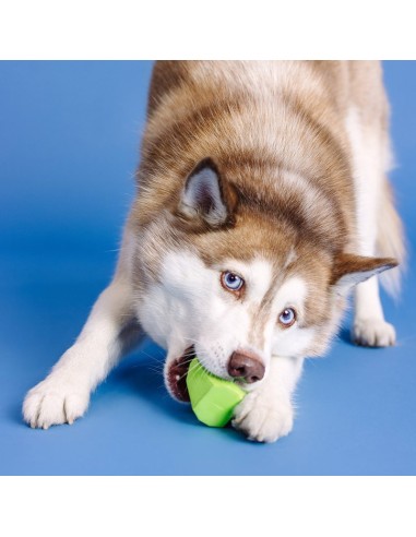 You're Adora-Ball Lime Rubber Dog Toy - pack of 4