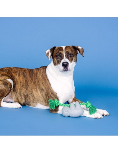 How's It Hangin'? Rubber Dog Toy - pack of 4