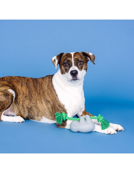 How's It Hangin'? Rubber Dog Toy - pack of 4