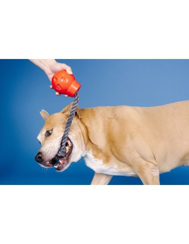 You Da Bomb Rubber Dog Toy - pack of 4