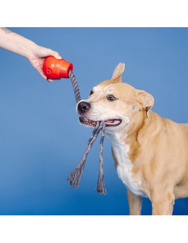 You Da Bomb Rubber Dog Toy - pack of 4