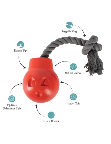 You Da Bomb Rubber Dog Toy - pack of 4