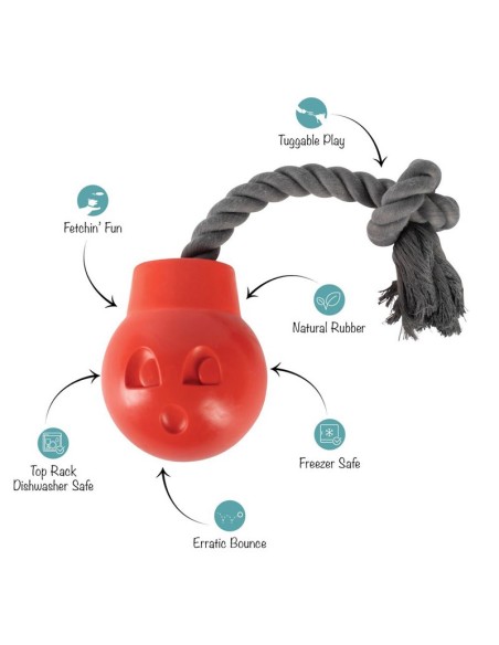 You Da Bomb Rubber Dog Toy - pack of 4