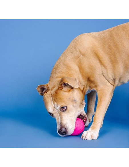 You're a hoot hot pink | Rubber | Treat Dispenser