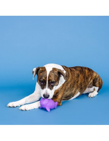 Catch Ya Later Purple Rubber Dog Toy - pack of 4