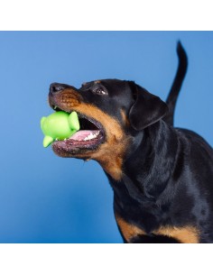 Catch Ya Later Lime Rubber Dog Toy - pack of 4 2
