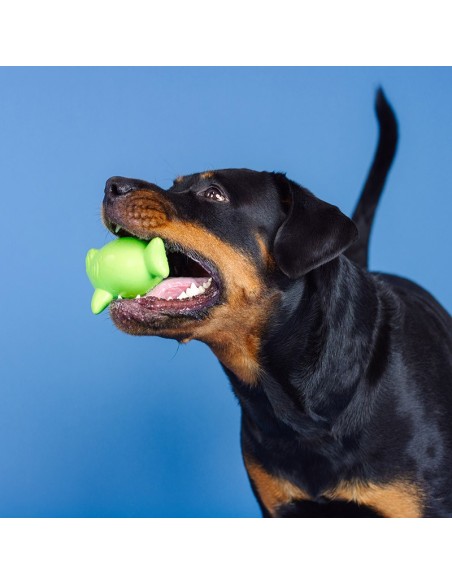 Catch Ya Later Lime Rubber Dog Toy - pack of 4