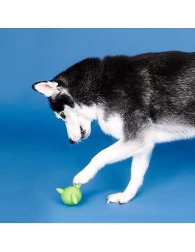 Catch Ya Later Lime Rubber Dog Toy - pack of 4