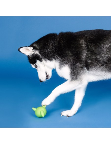 Catch Ya Later Lime Rubber Dog Toy - pack of 4