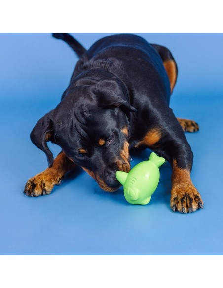 Catch Ya Later Lime Rubber Dog Toy - pack of 4