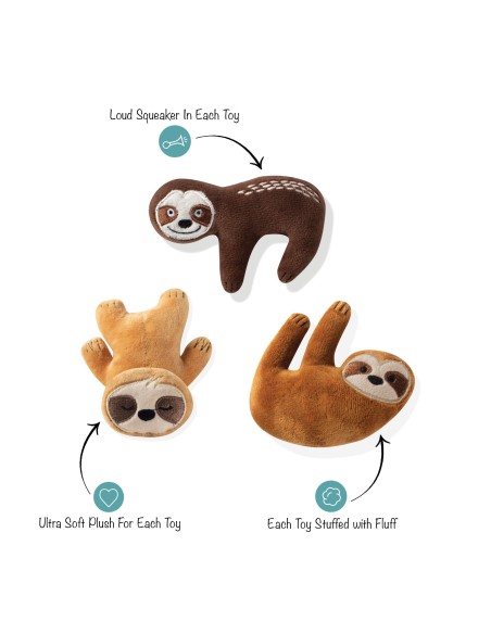 set basic sloths